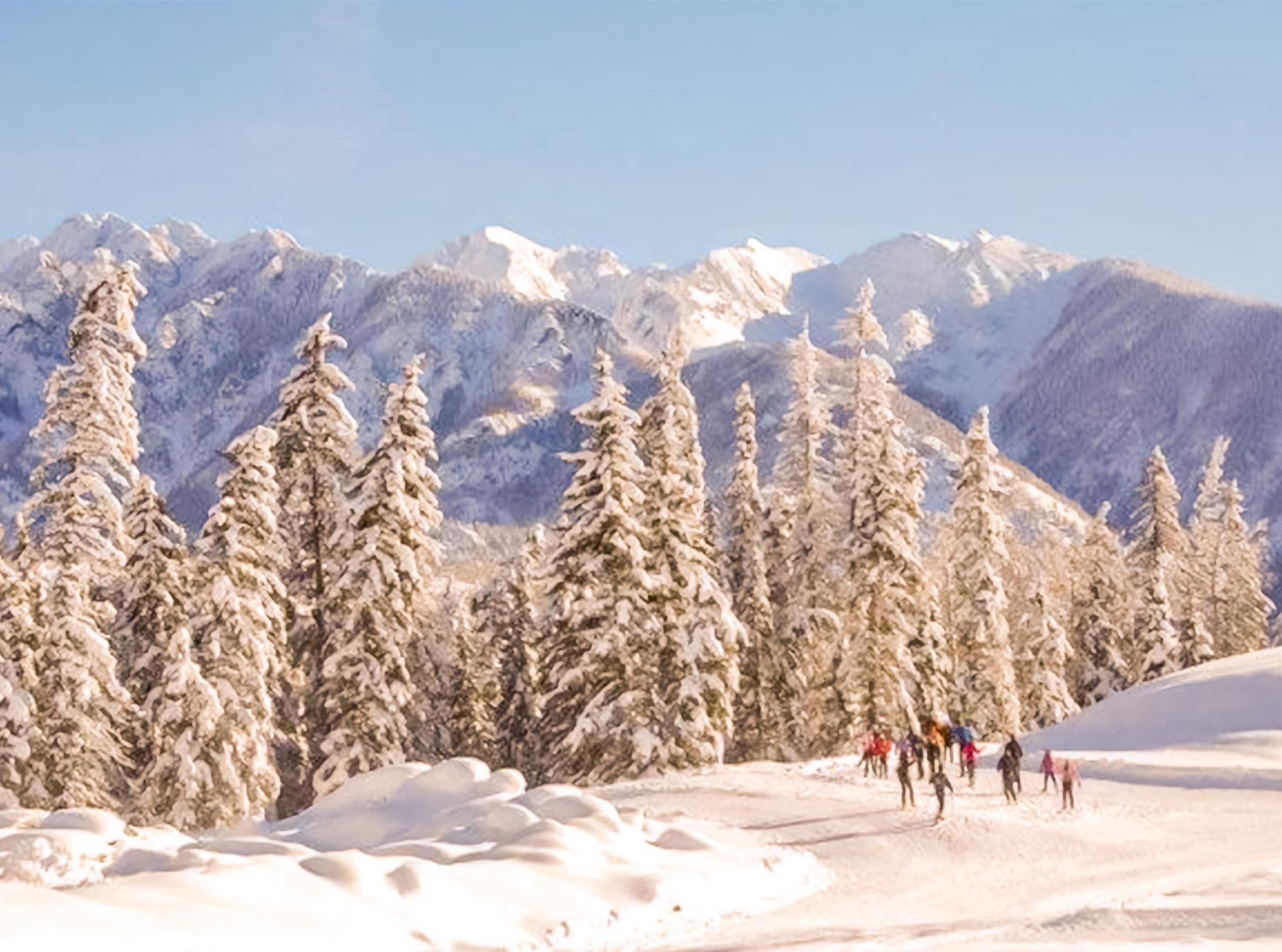 Winter Activities - Purgatory Resort