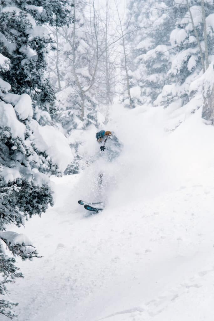 Skier takes a face shot of powder in the trees