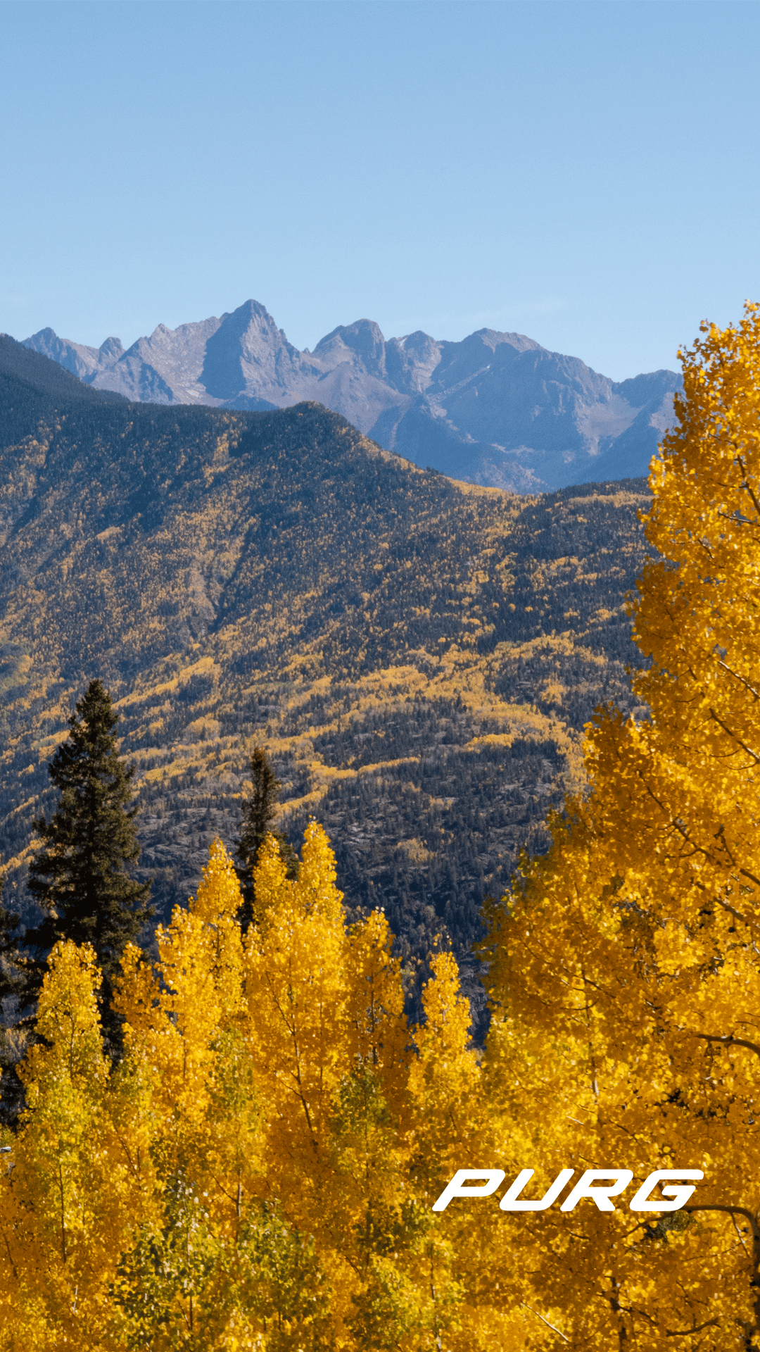 Golden aspens dot the mountain hillsides