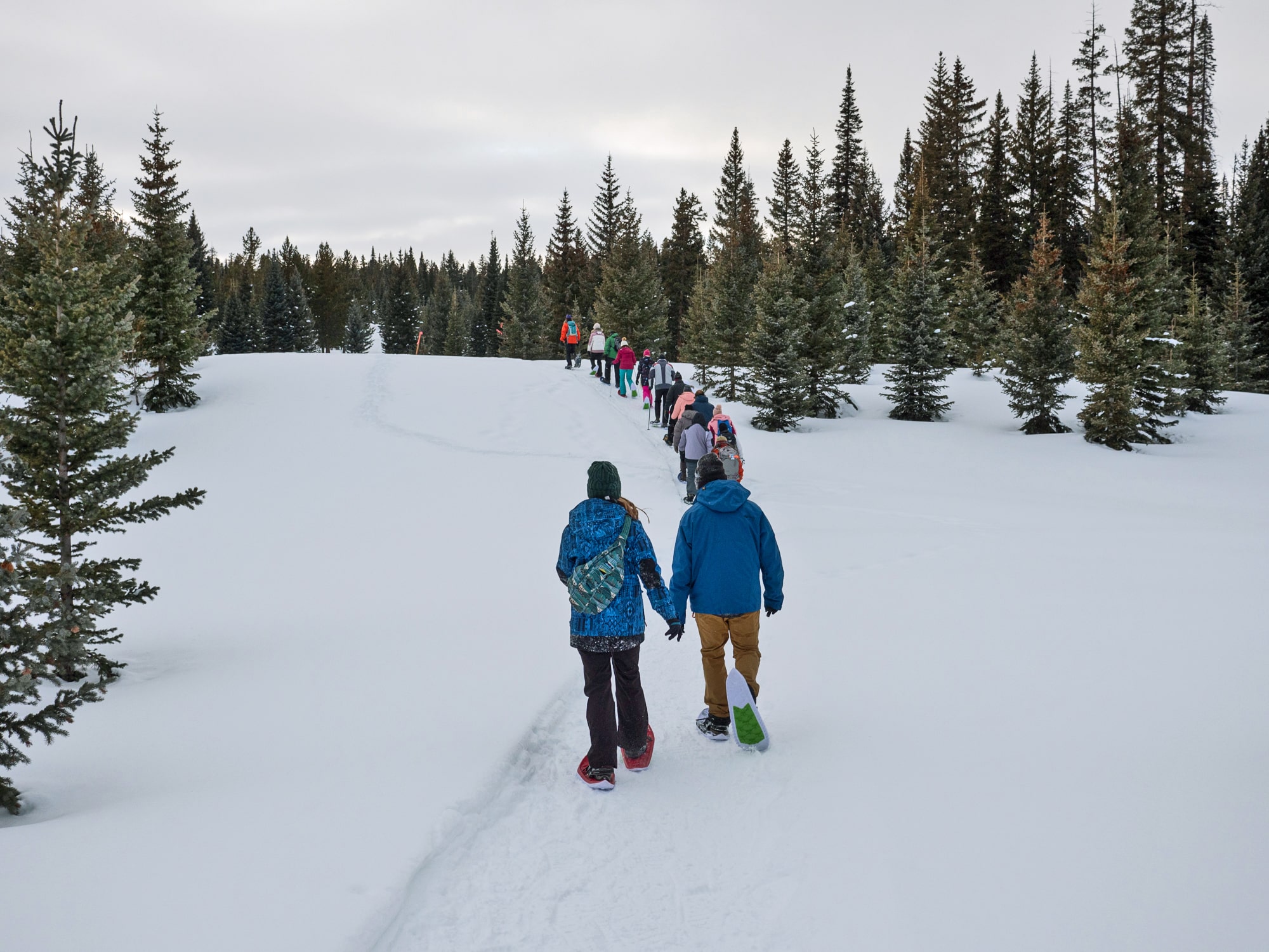 Snowshoe group being guided into the backcountry to fine an overlook