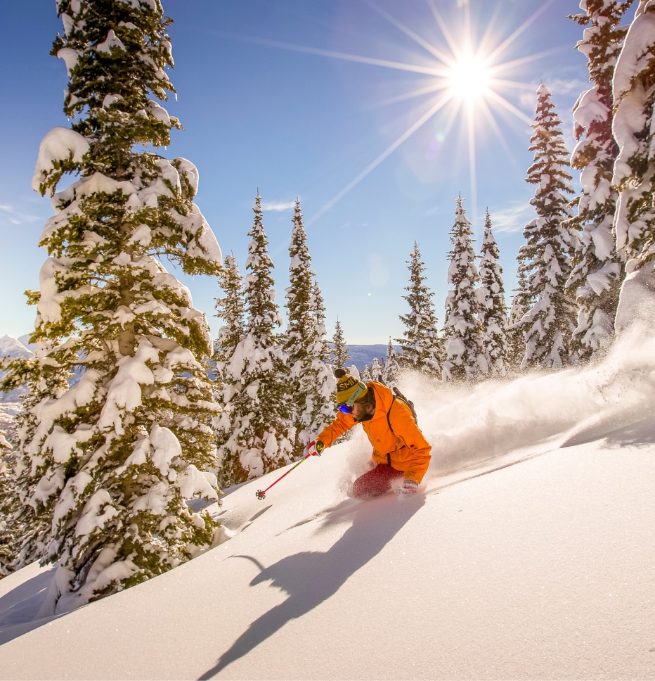skier in powder