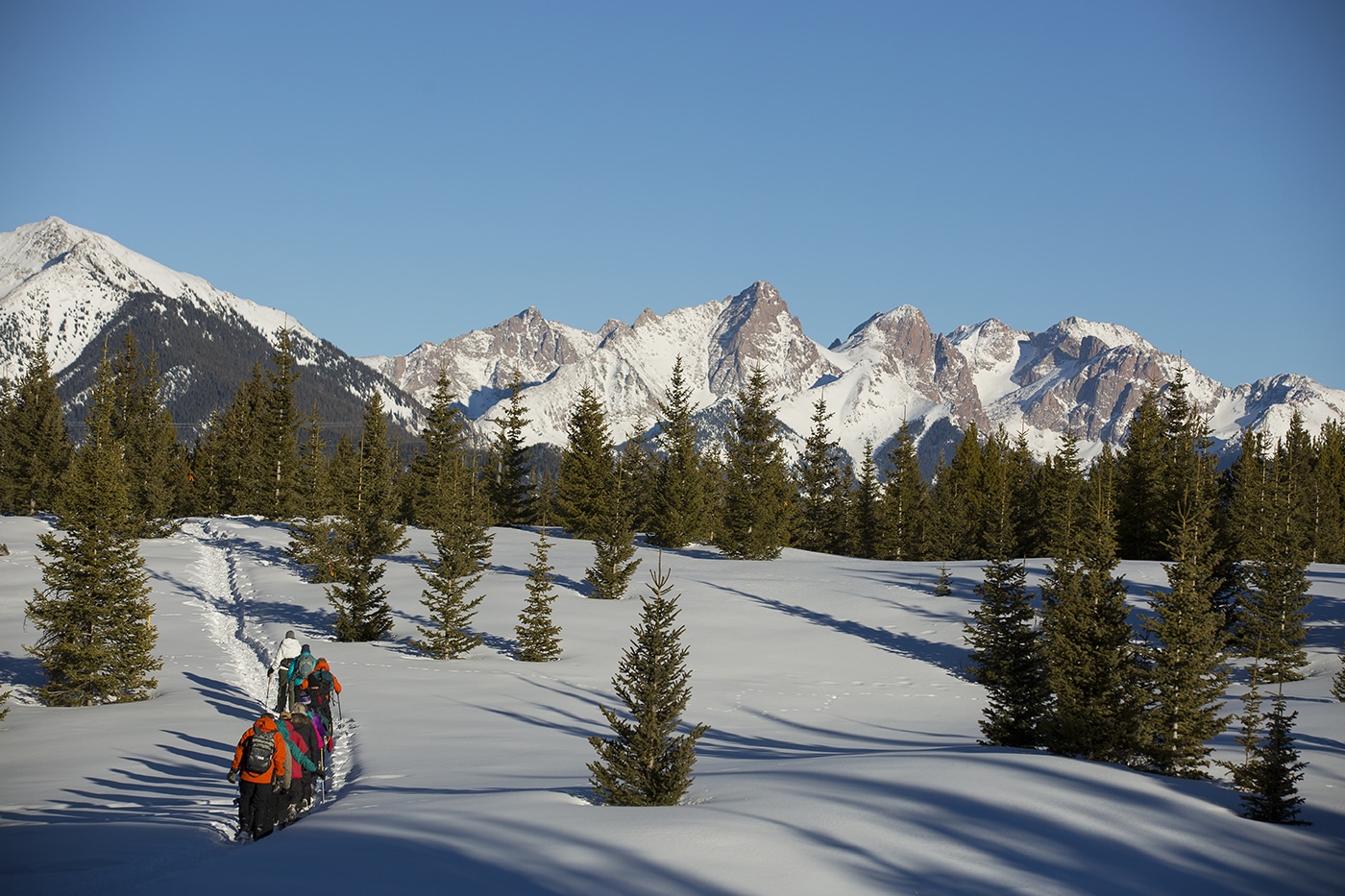 Snowshoe tour leads a group to a beautiful overlook of the Needles Mountain Range