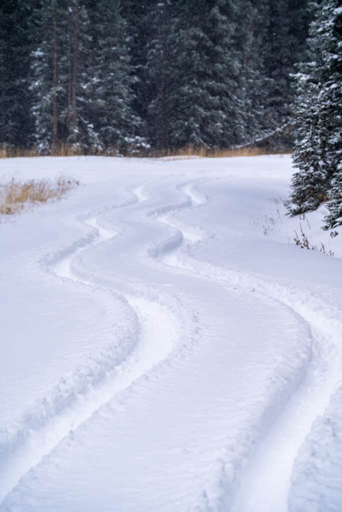 Car tracks cut through the fresh layer snow.