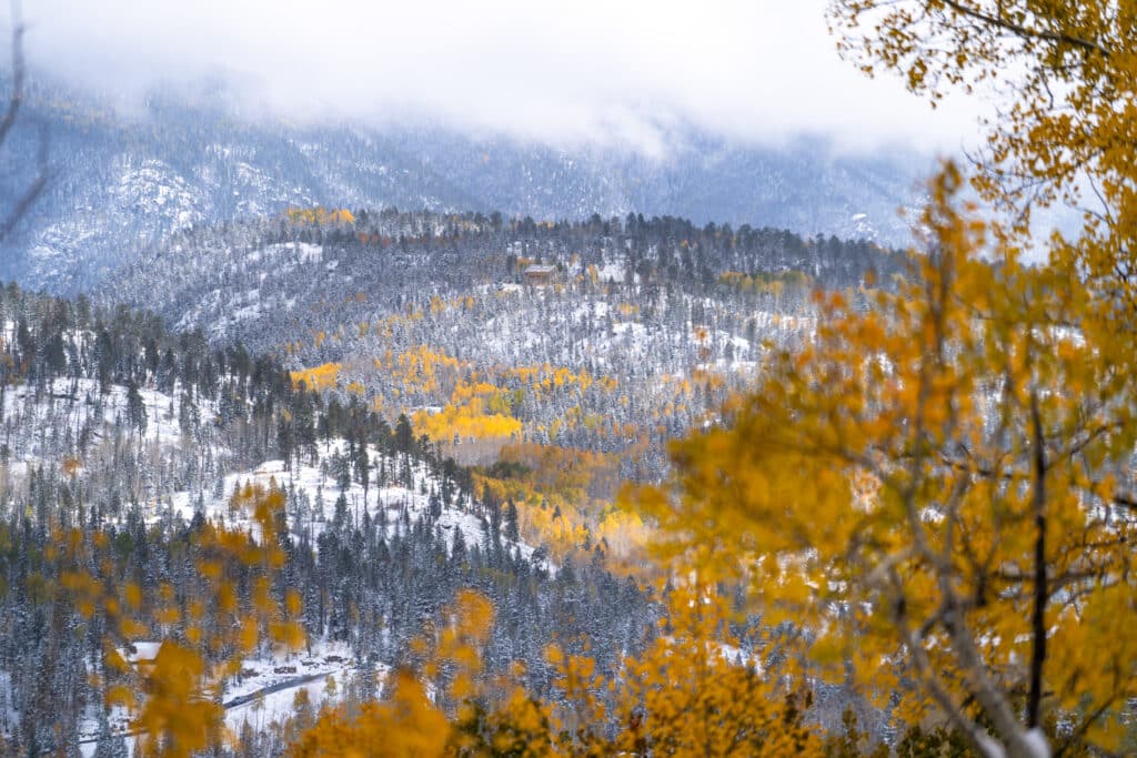 Snow covers aspens and pines while the mountains fade into the clouds.