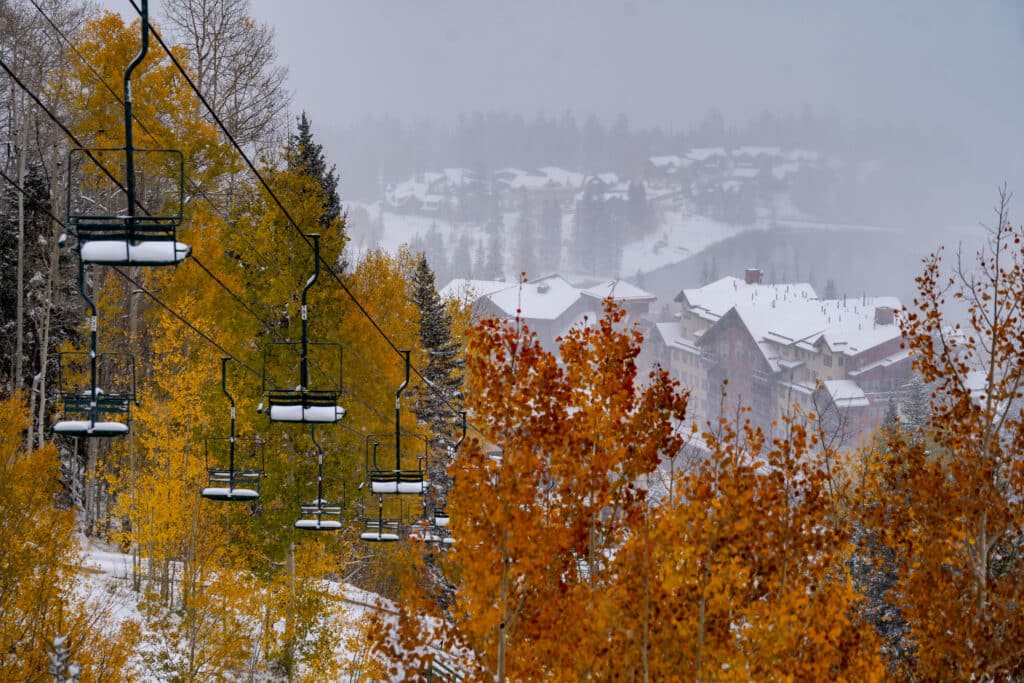 Aspens showing a range of colors from red to yellow as snow falls in the background.