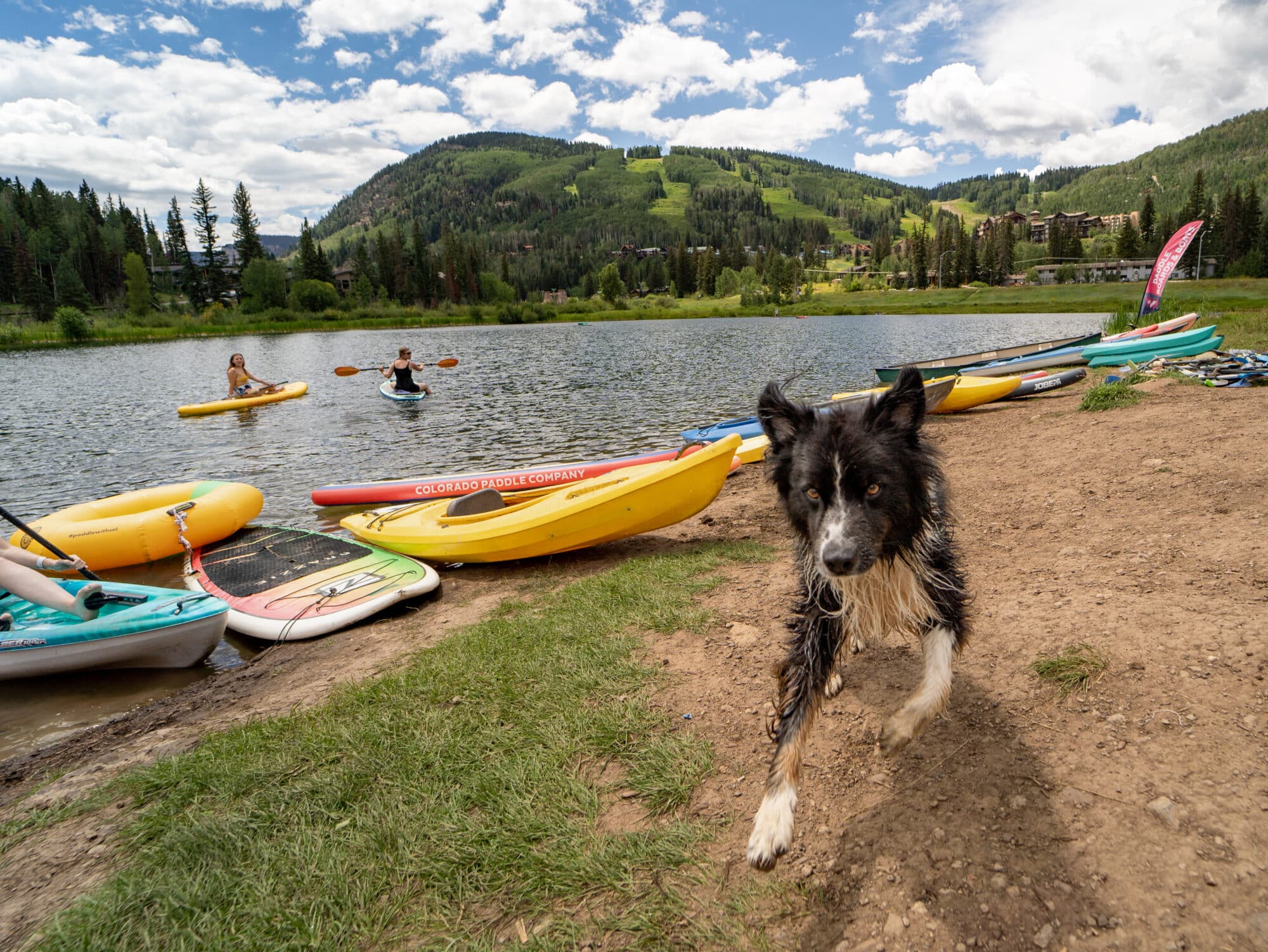 Cute dog enjoys fetch next to Twilight Lake