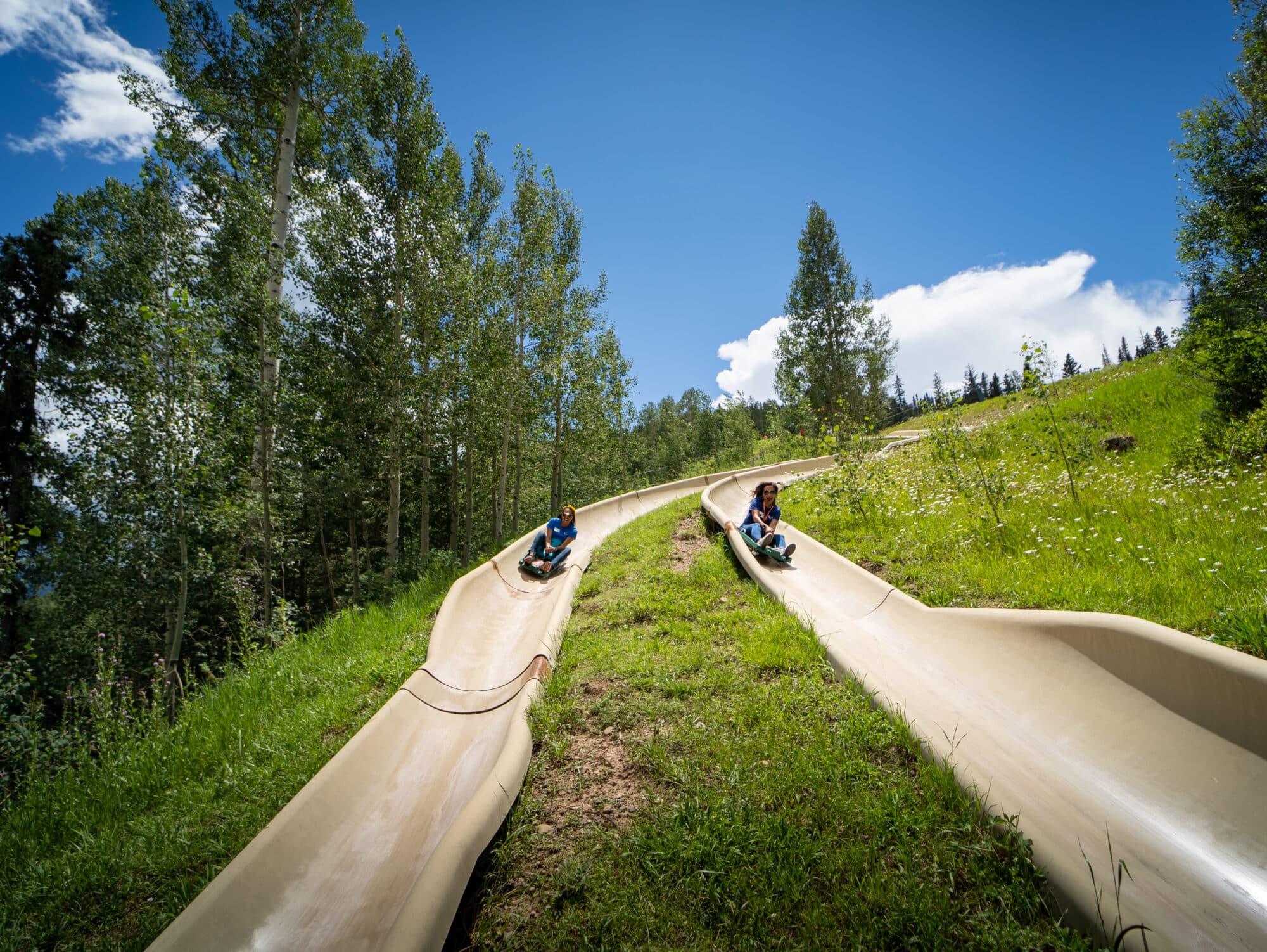 Alpine slide riders race side by side down the track