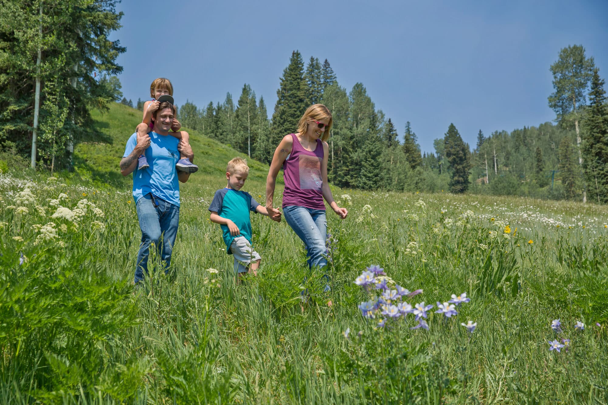 Family takes in the views while hiking through wildflowers