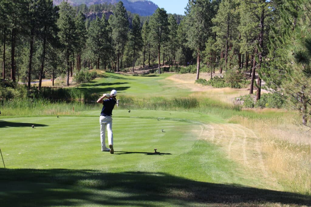 Golfer hits driver off of tee box at Birdie Fest