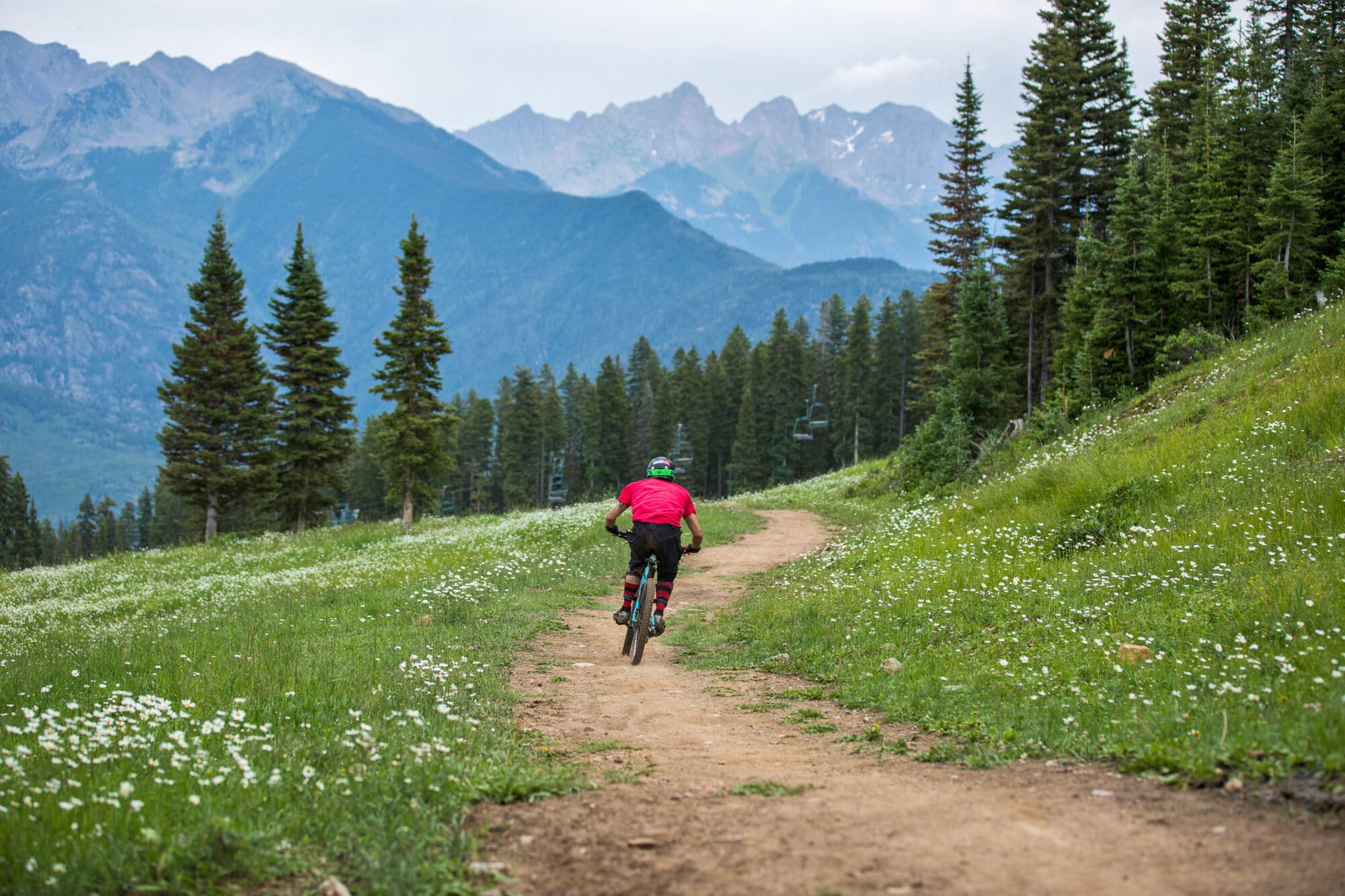 Mountain bike rides downhill with views of the needles range