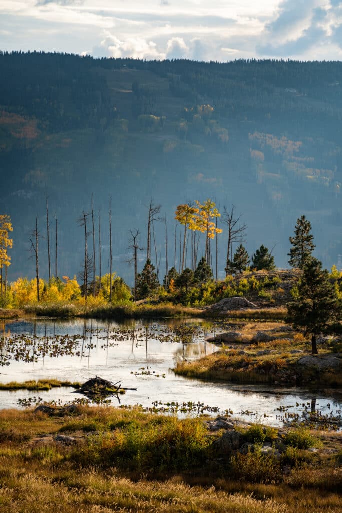 autumn lake