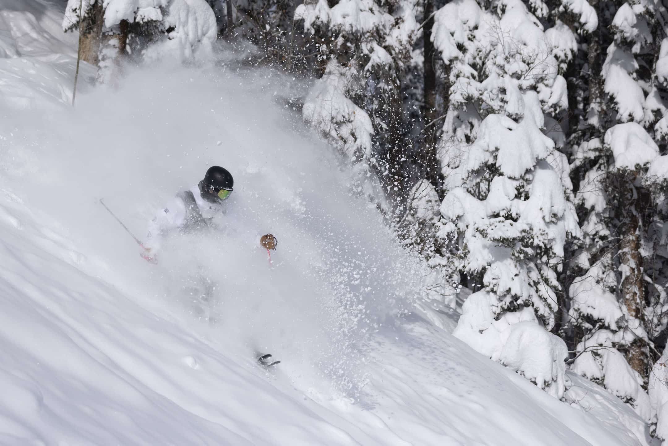 Skier in powder