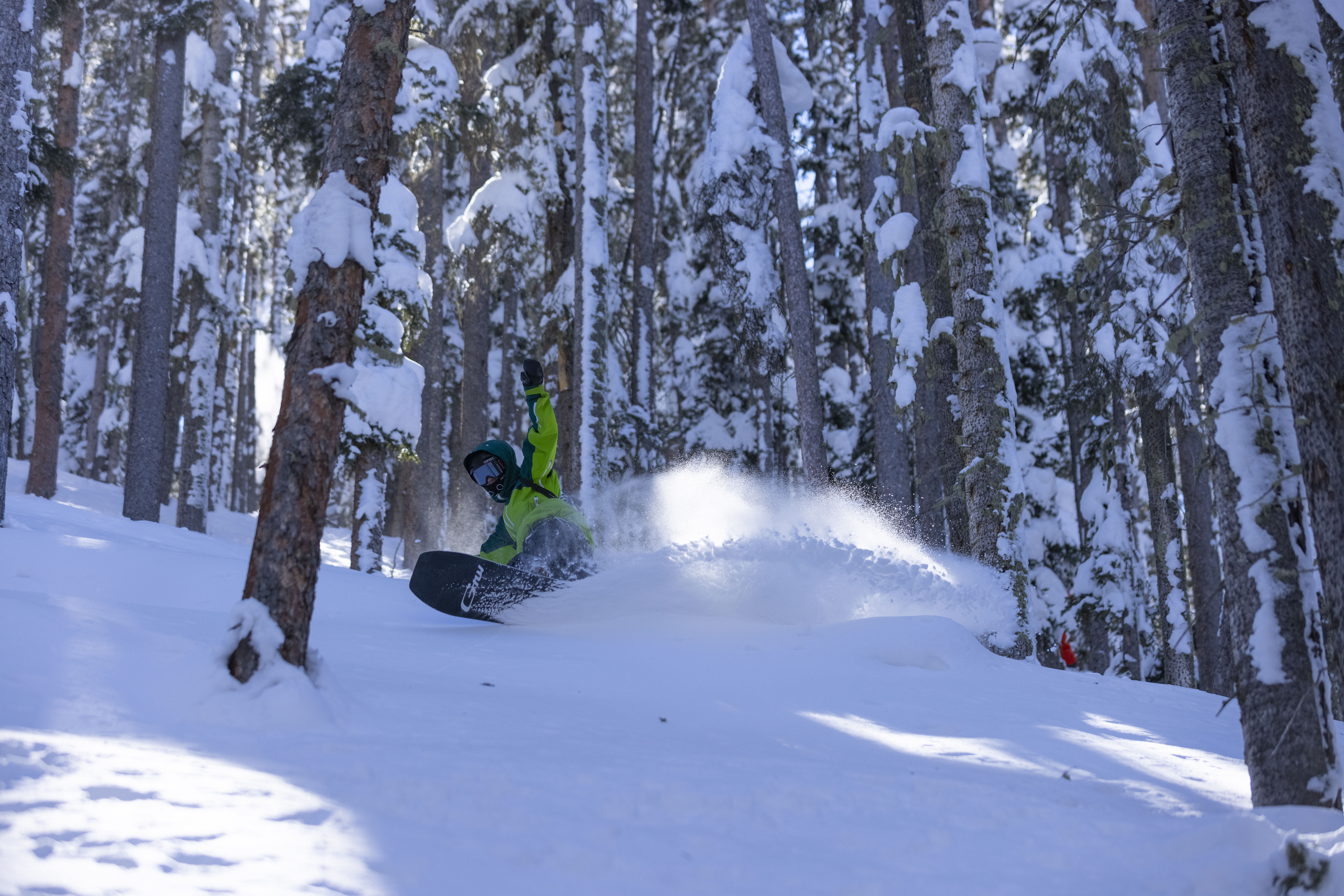 Snowboarder slices through waist deep powder in the trees