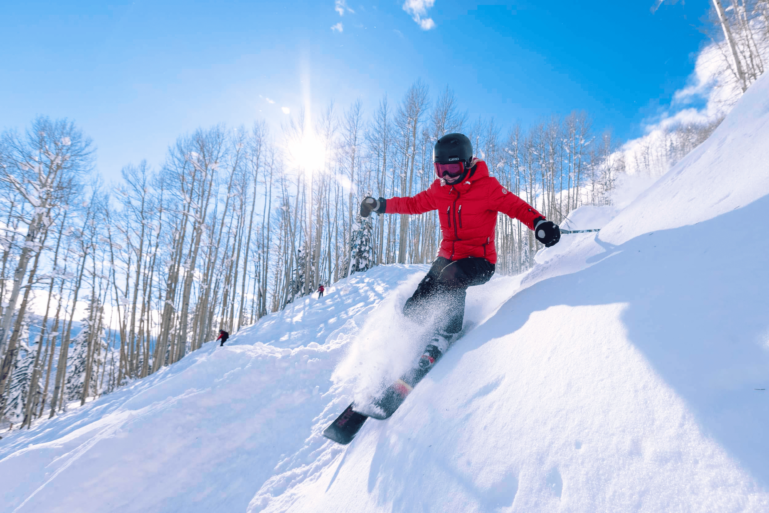 Skiing 