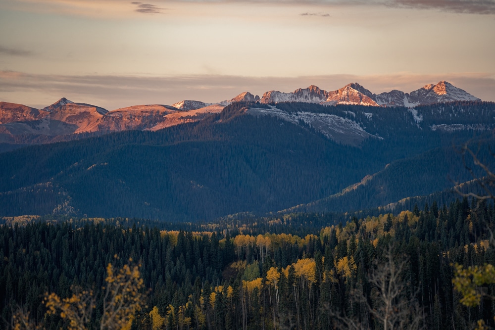 yellow aspens and mountains