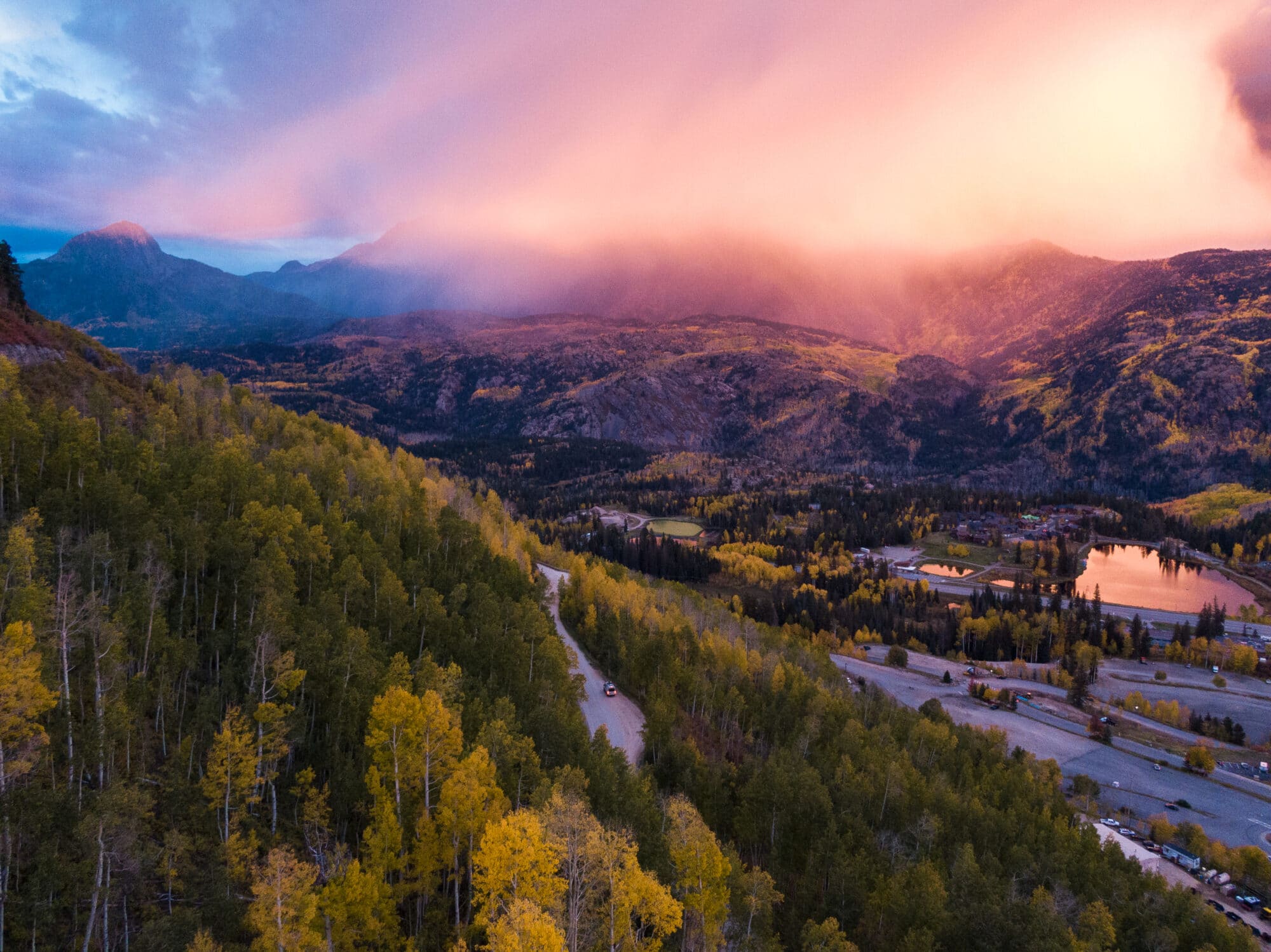 yellow aspens