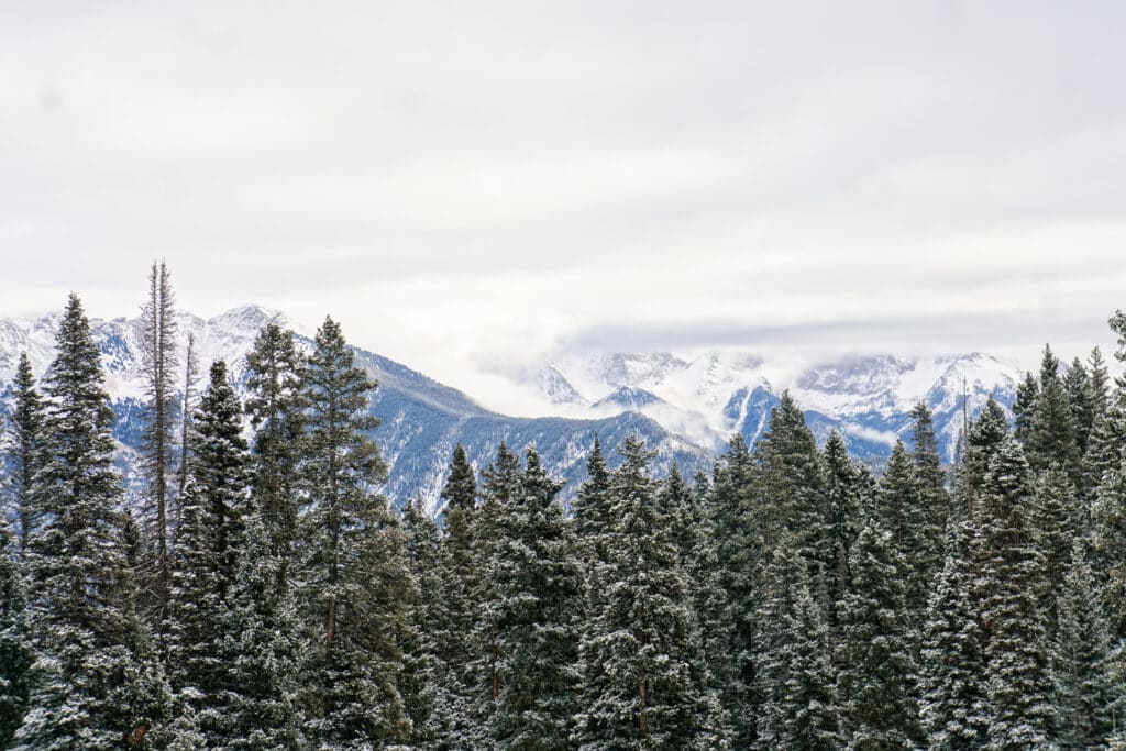 Snow laced evergreens stand in the foreground with snowy peaks in the distance