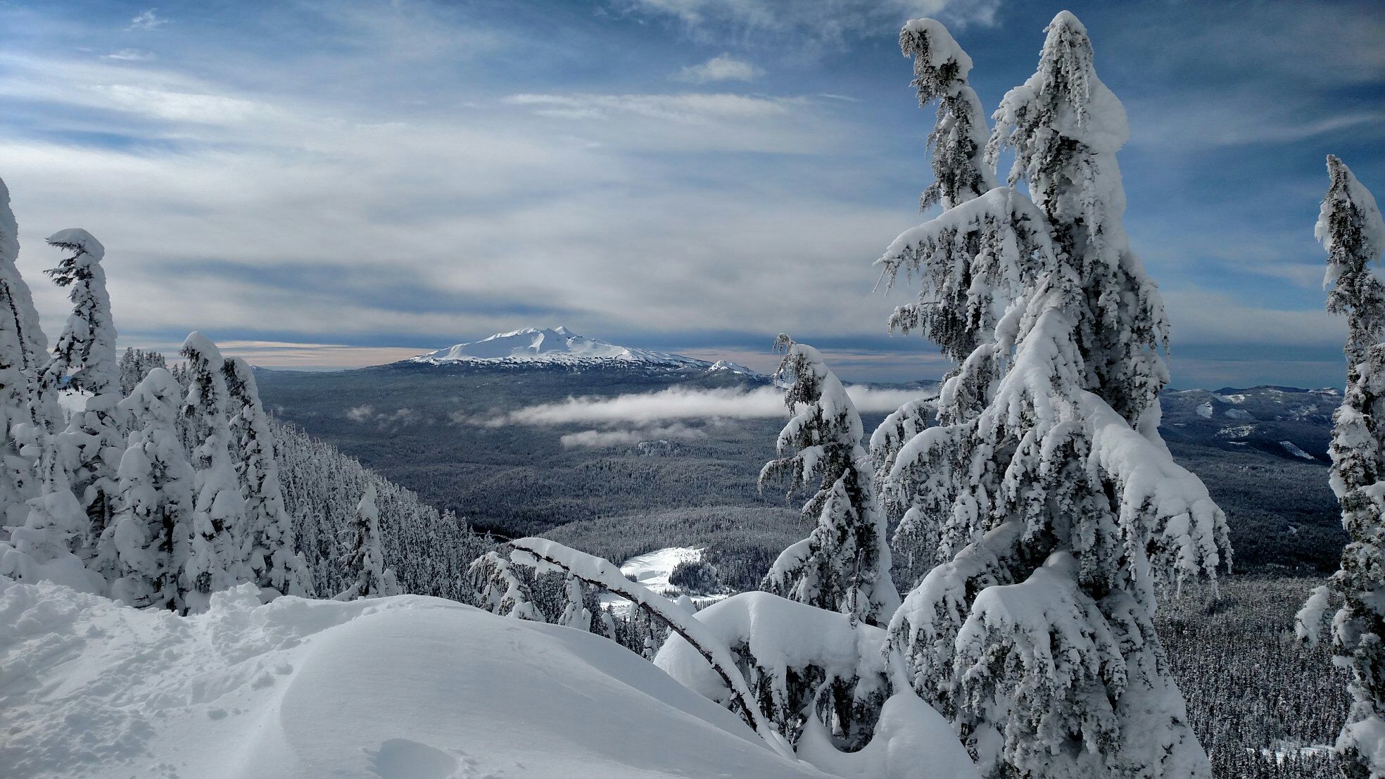 Deep powdery snow coats trees on a winter day at Willamette Pass Resort