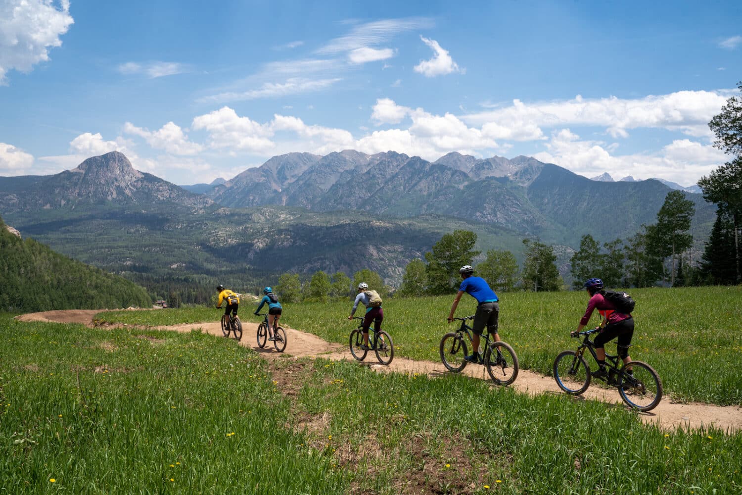 people bike in a row