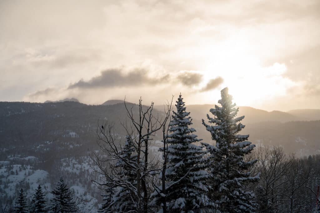 light peeking through trees on a powdery morning