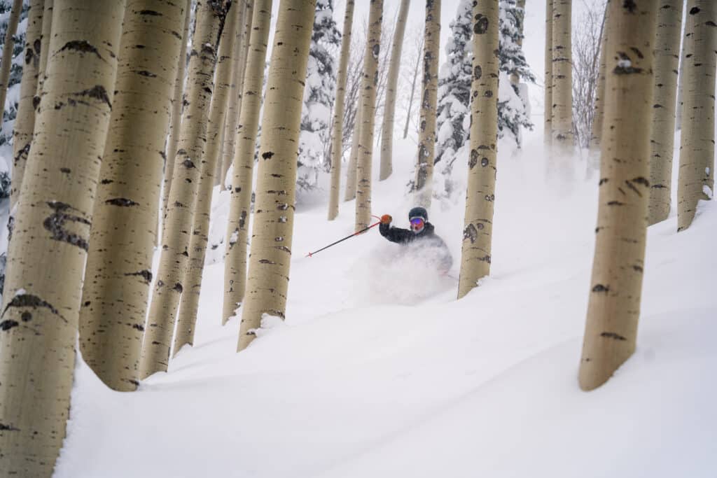 A skier navigates a tree run in deep powder