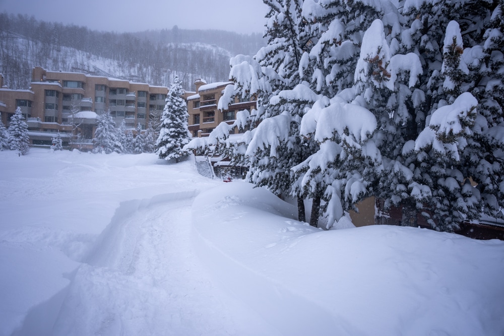 A path is carved through fresh powder