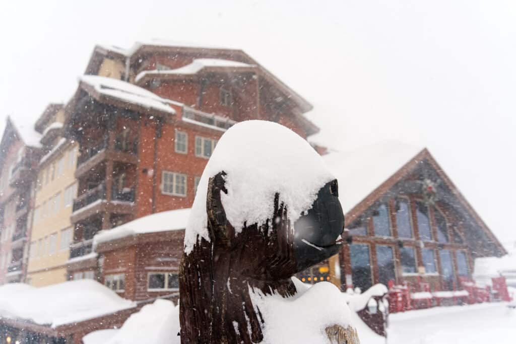 A pile of powder on statue