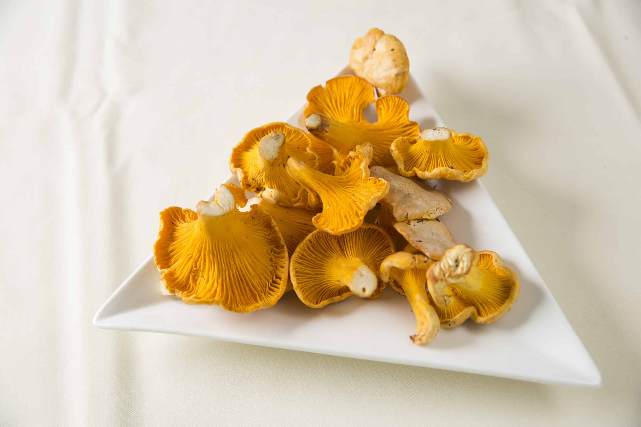 Yellow orange mushrooms on a white triangle plate