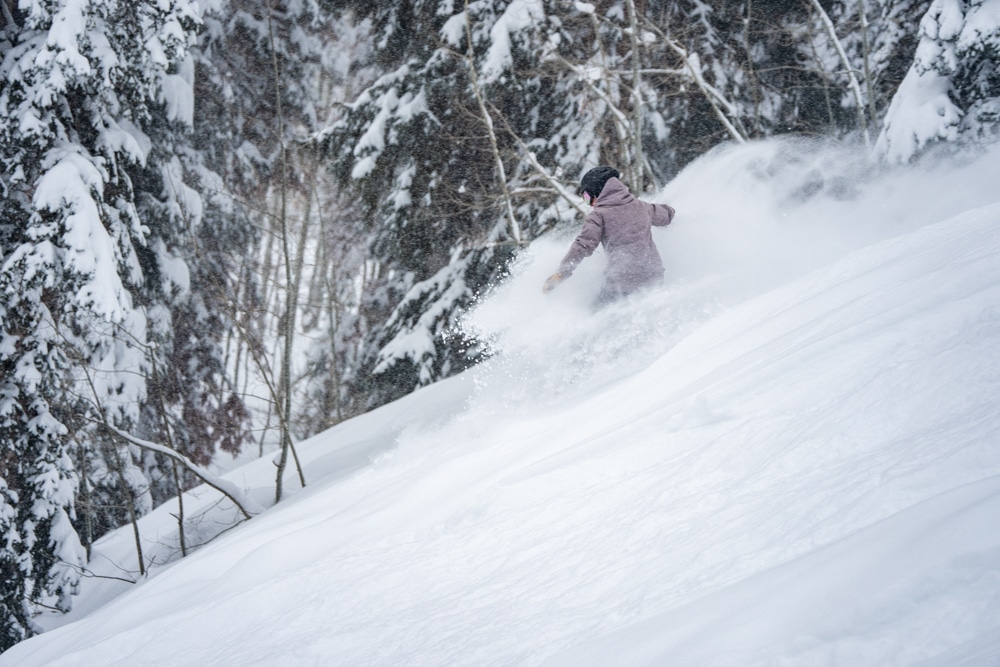 A skier dusting up fresh powder