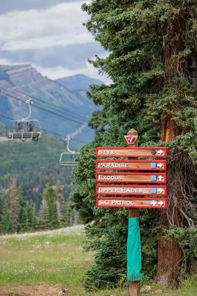 a ski trail sign in summer