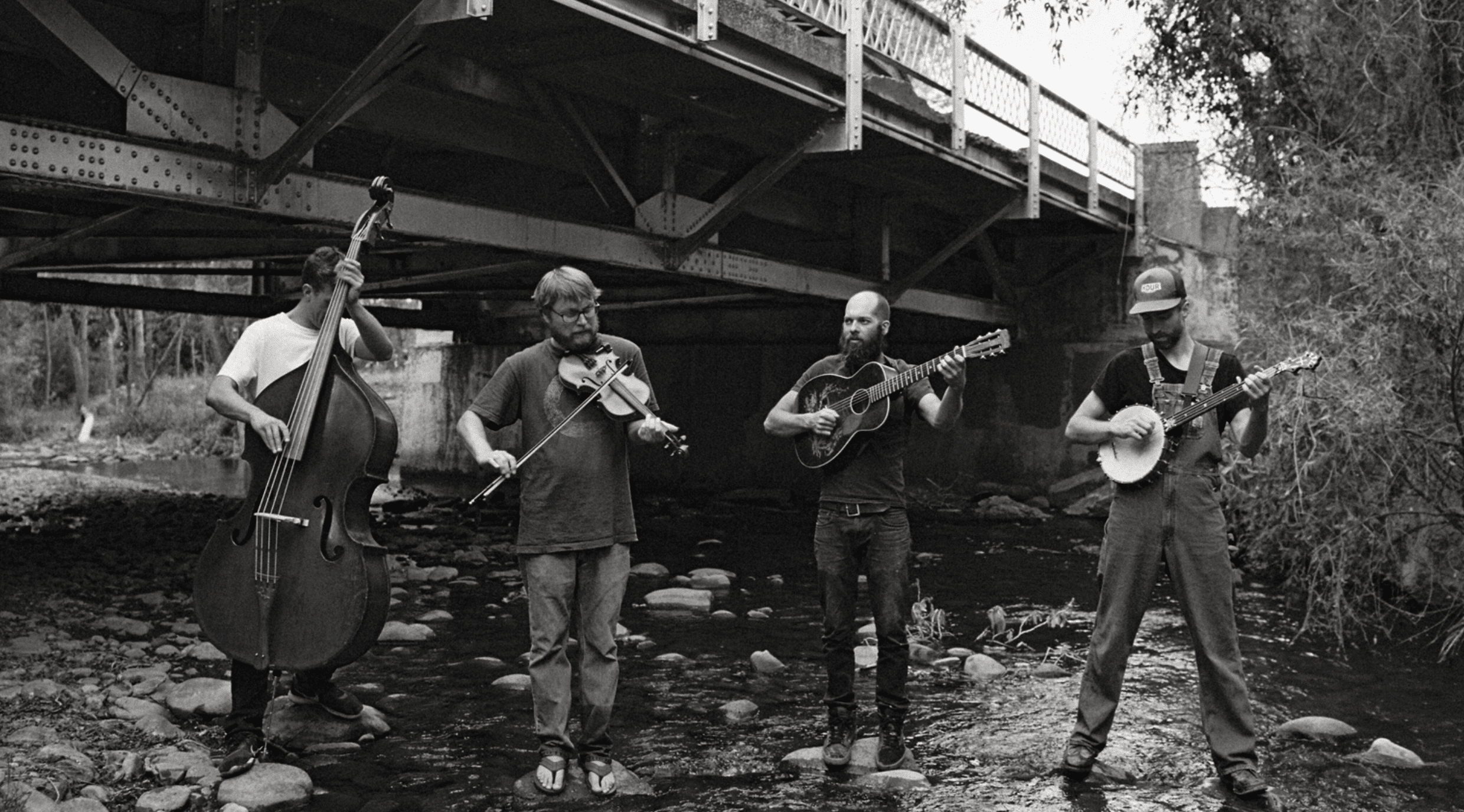 six dollar string band