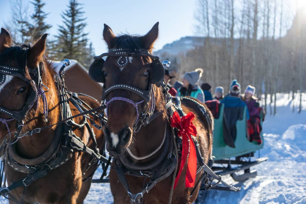 horse pulling a winter sleigh