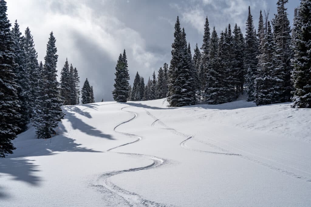 First tracks through fresh snow