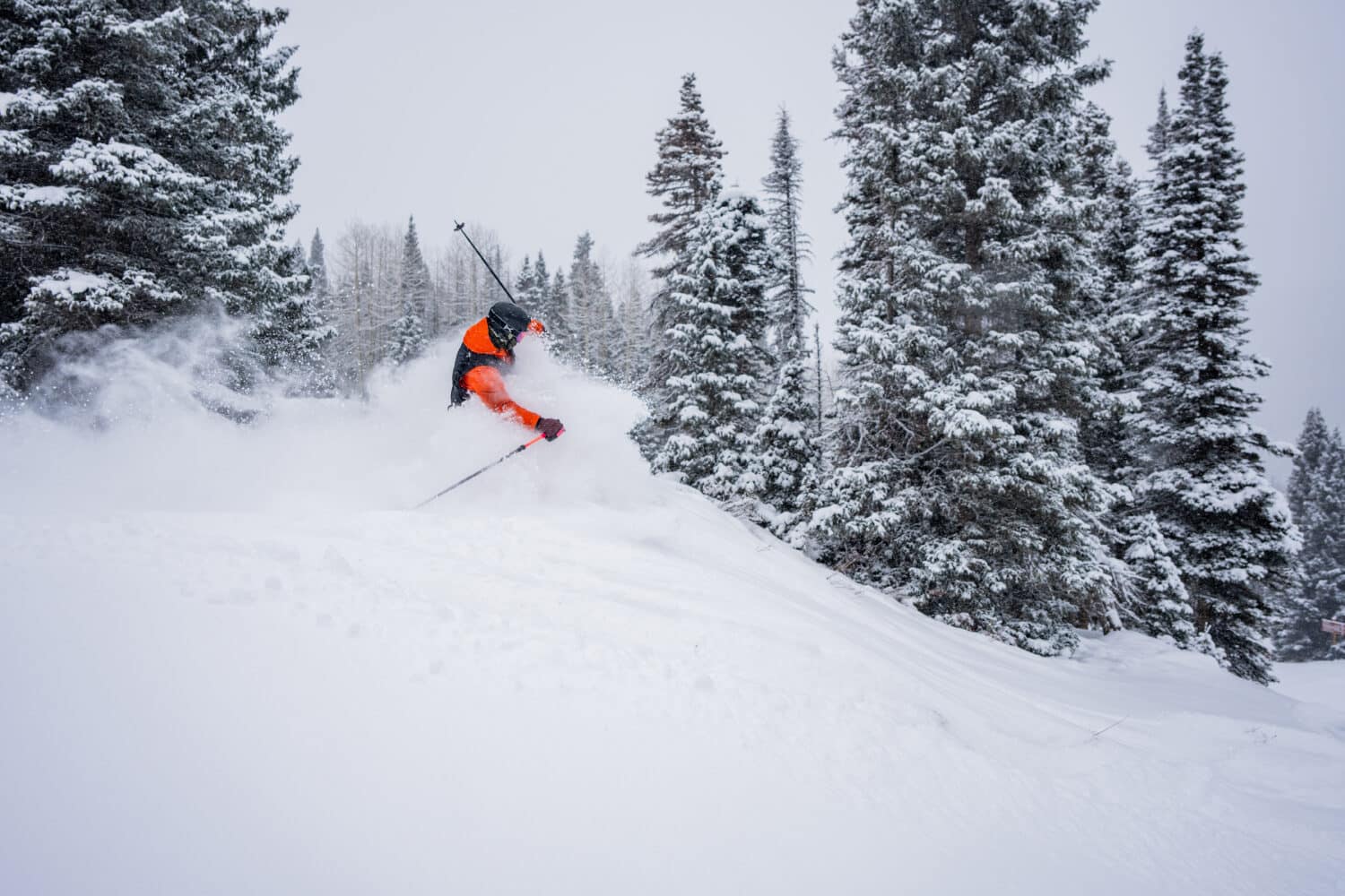 Skier cuts through fresh powder