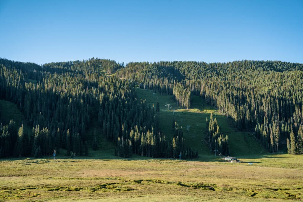 A backside view of lift 8 Legends Express in the summer