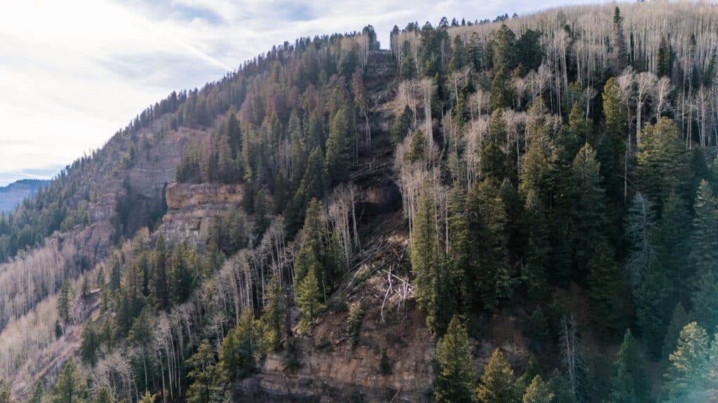 Drone image of the upper portion of the tree work done for the Gelande Lift line scheduled for install Spring 2026