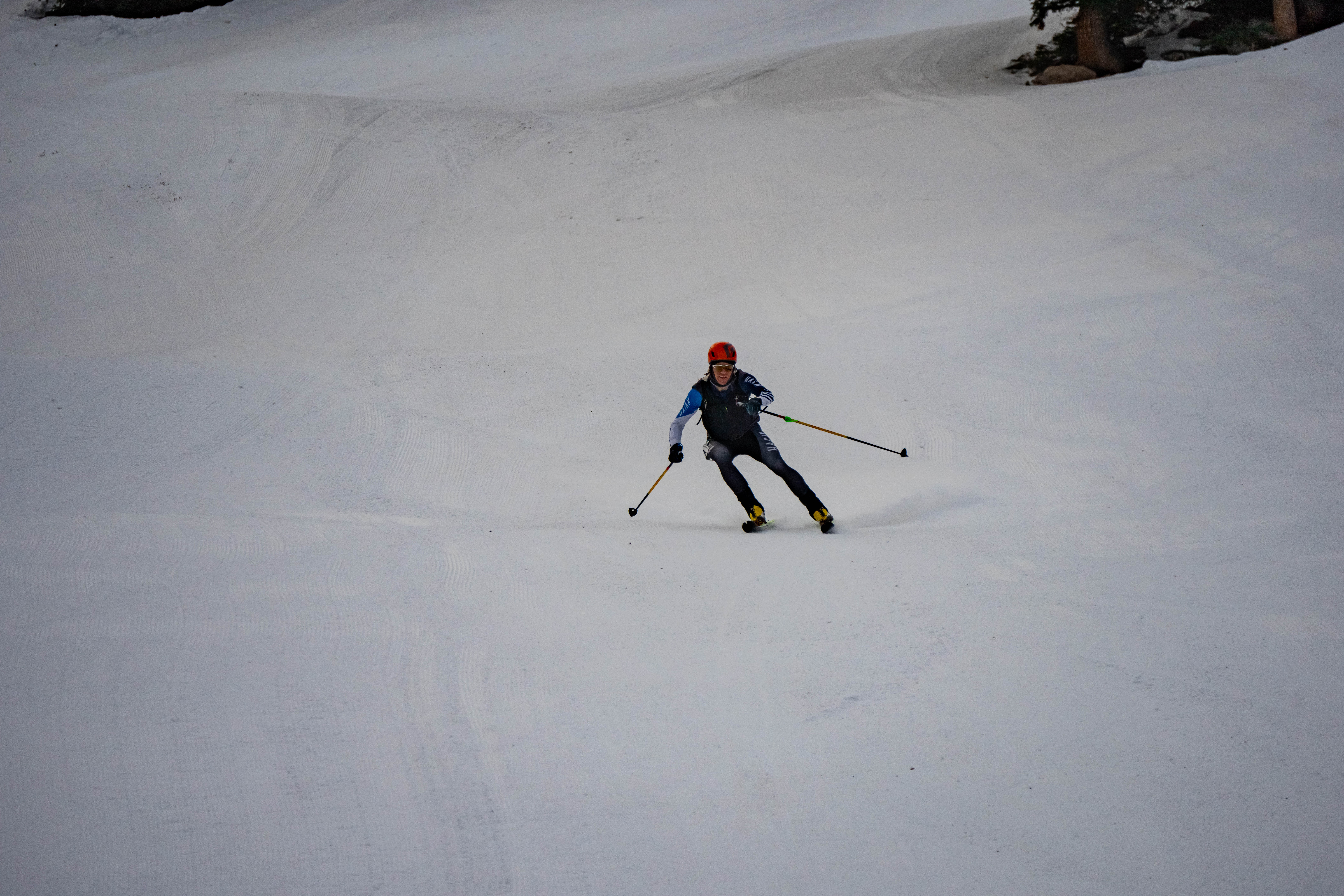 Ski Race shot