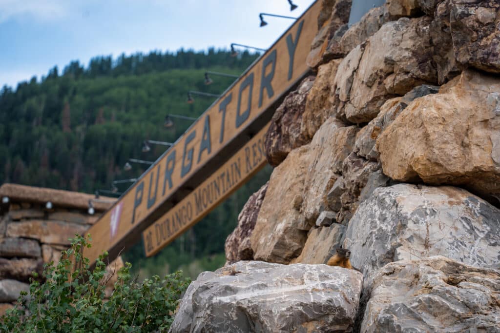 Marmot poking out from behind a rock under the Purgatory sign